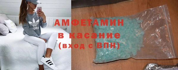 шишки Арсеньев