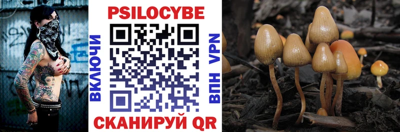 Псилоцибиновые грибы Cubensis Полесск